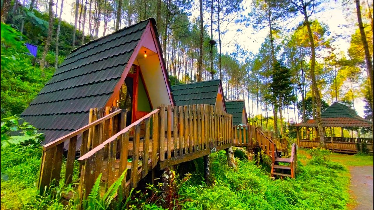 Telomoyo Nature Park: Surga Alam di Lereng Gunung Merapi